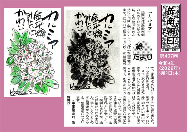 220609第407号カルミア