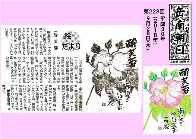 300928酔芙蓉(岳南新聞）