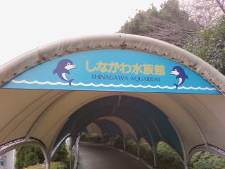 img20080111_1.jpg