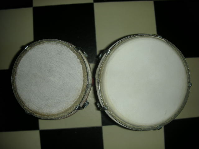 dscn0582.jpg