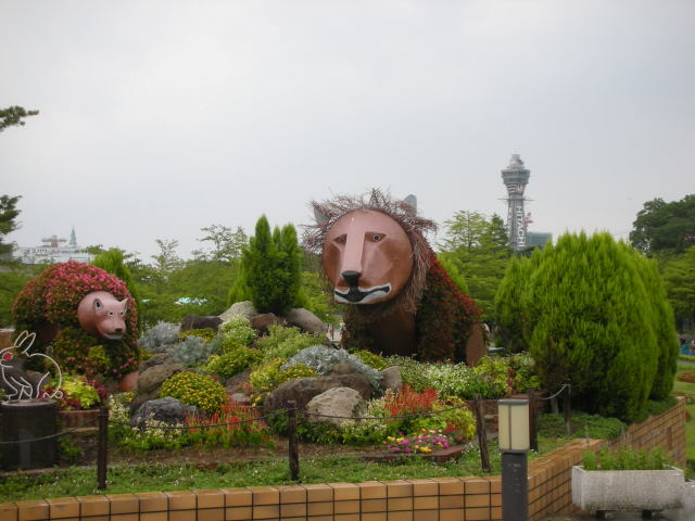 dscn00010001_4.jpg