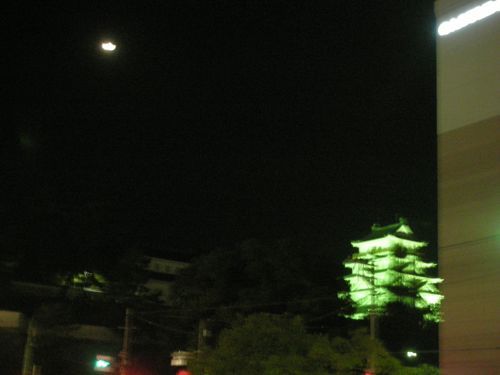 DSCN5454