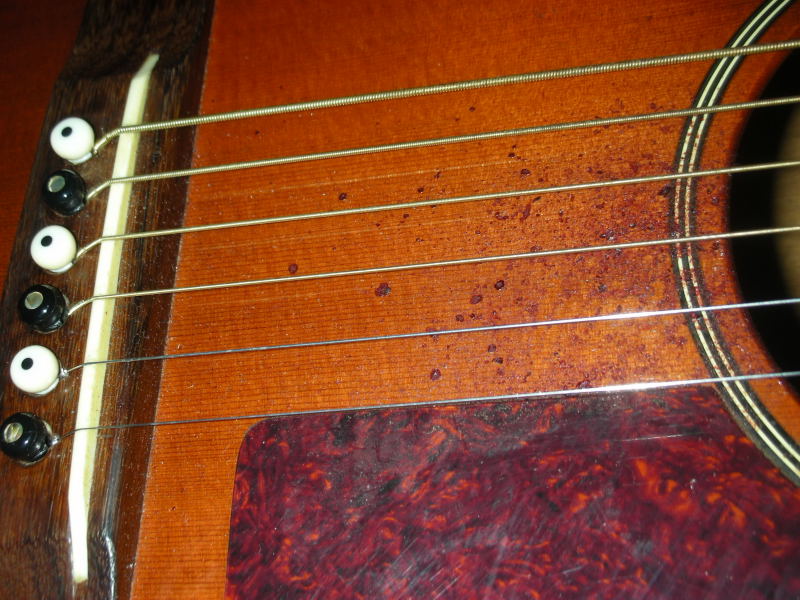 dscn36970001.jpg