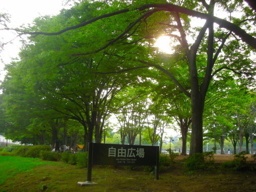 DSCN45480001