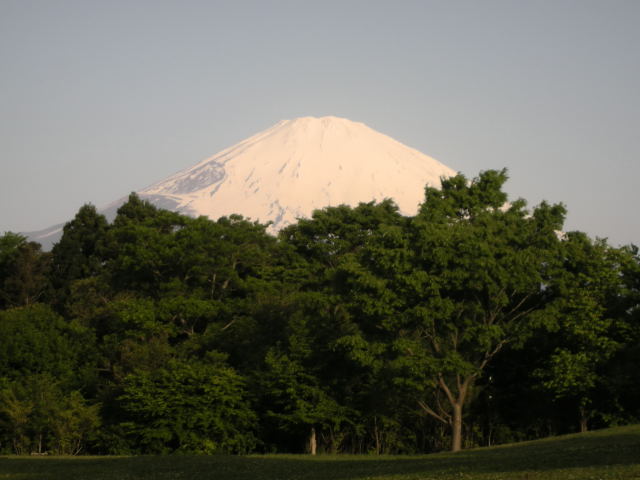 dscn1460.jpg