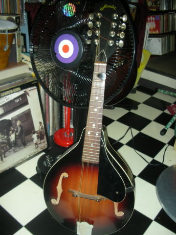 dscn0737.jpg