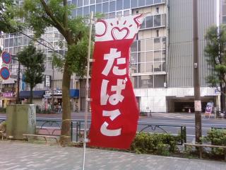 img20090801.jpg