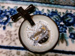 img20090606.jpg