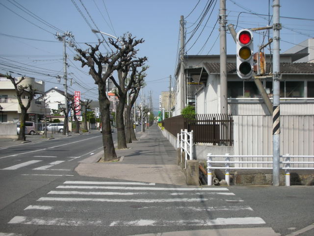 dscn1405.jpg