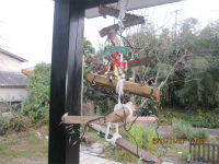 朝廣宅クリスマスツリー