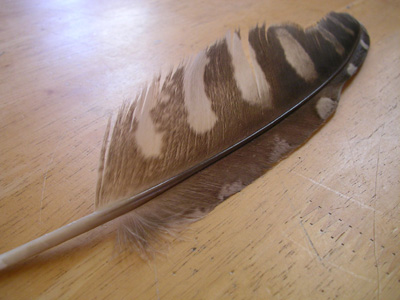 img20091021.jpg