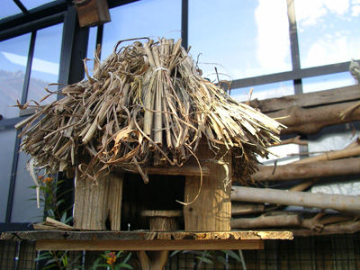 221205　ゲゲゲハウス３