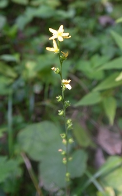 R0012309 - コピー