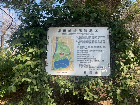 オオイタビ　看板回り20220209 - コピー (2)