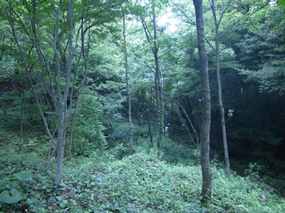 R0012756