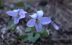 R0012962 - コピー