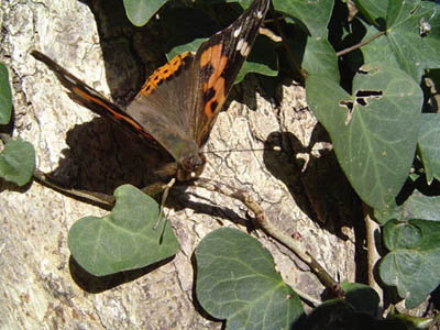 img20060224.jpg