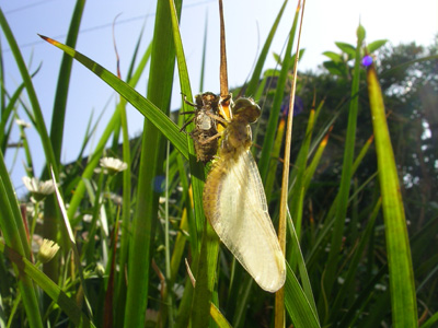 img20090426.jpg