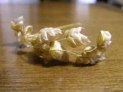 img20070221.jpg