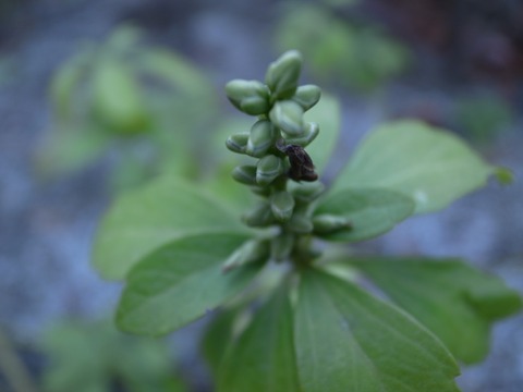 R0013572 - コピー