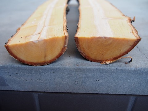 P5240022 - コピー