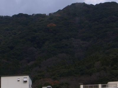 コピー ～ 城山谷部