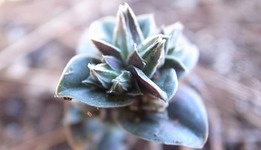 R0012968 - コピー