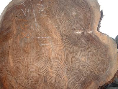 コピー ～ 080901杉岡製所土場