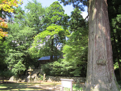 IMG_0047 - コピー