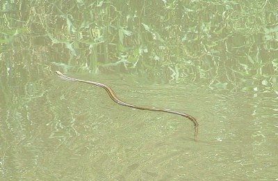 img20090527.jpg