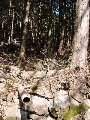 img20070331.jpg