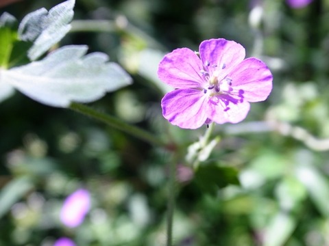 R0013863 - コピー