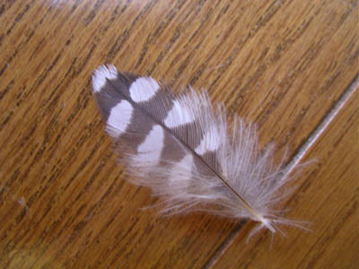 img20060228.jpg