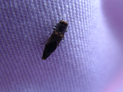 img20090410.jpg