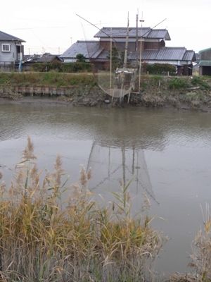 くも手網と群落