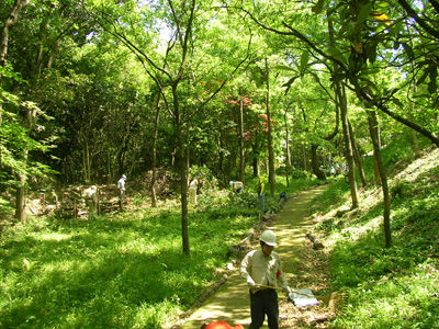 240512 かぶ森C地区