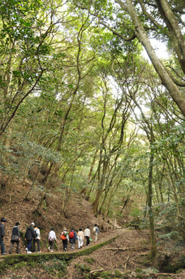 DSC_0334 -お散歩