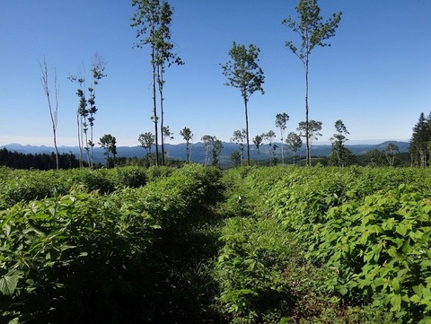 DSC03438★山浦さん広報 - コピー