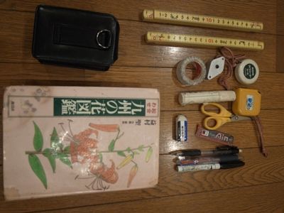 コピー ～ RIMG1181