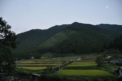 コピー ~ DSC_0058