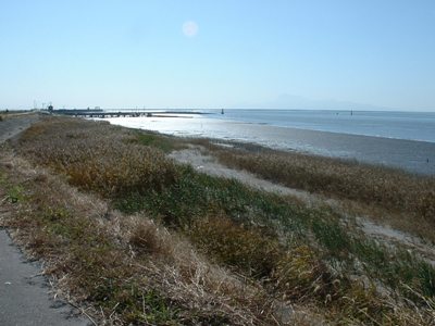 img20071120.jpg