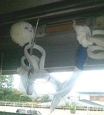 img20051008.jpg