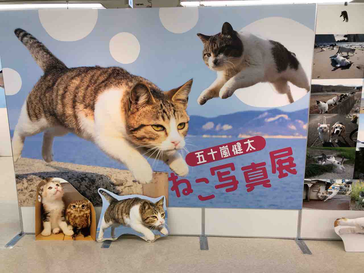 ともやの五臓六腑に染み渡る 浮気