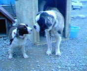 200611141424000.jpg