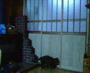 200612061702000.jpg