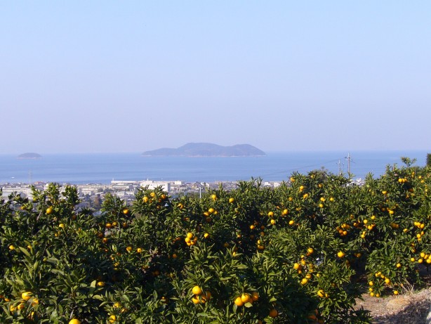 img20061127.jpg