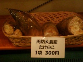 img20060409_1.jpg