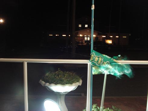 img20081129.jpg