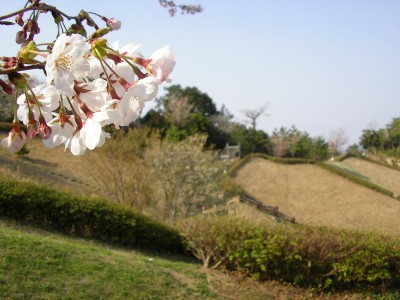 img20060407_2.jpg