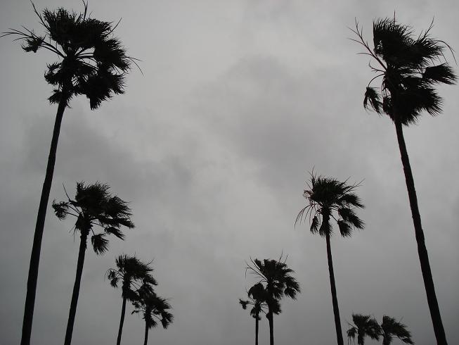 img20090629.jpg